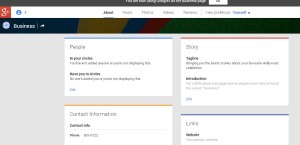 google plus business page dashboard